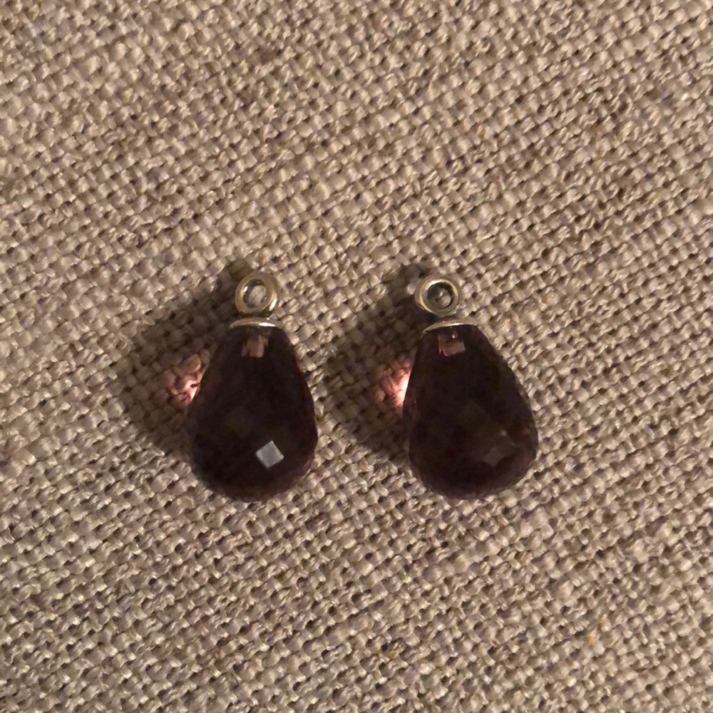 Pandora Fascinating beauty earring charms